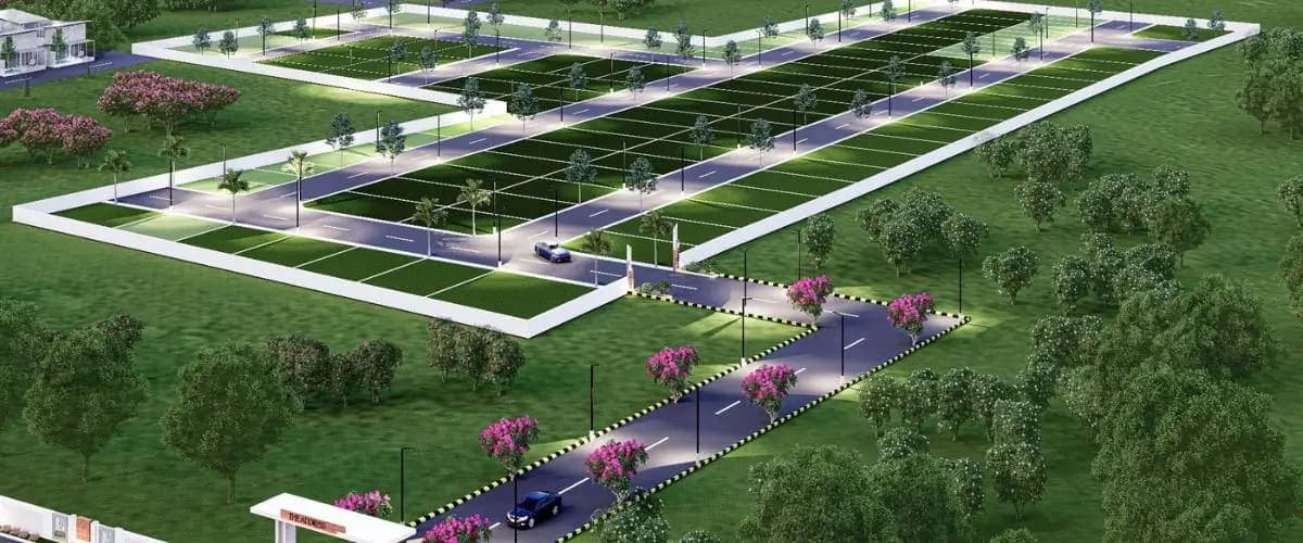 Purva Codename Arbor Plots